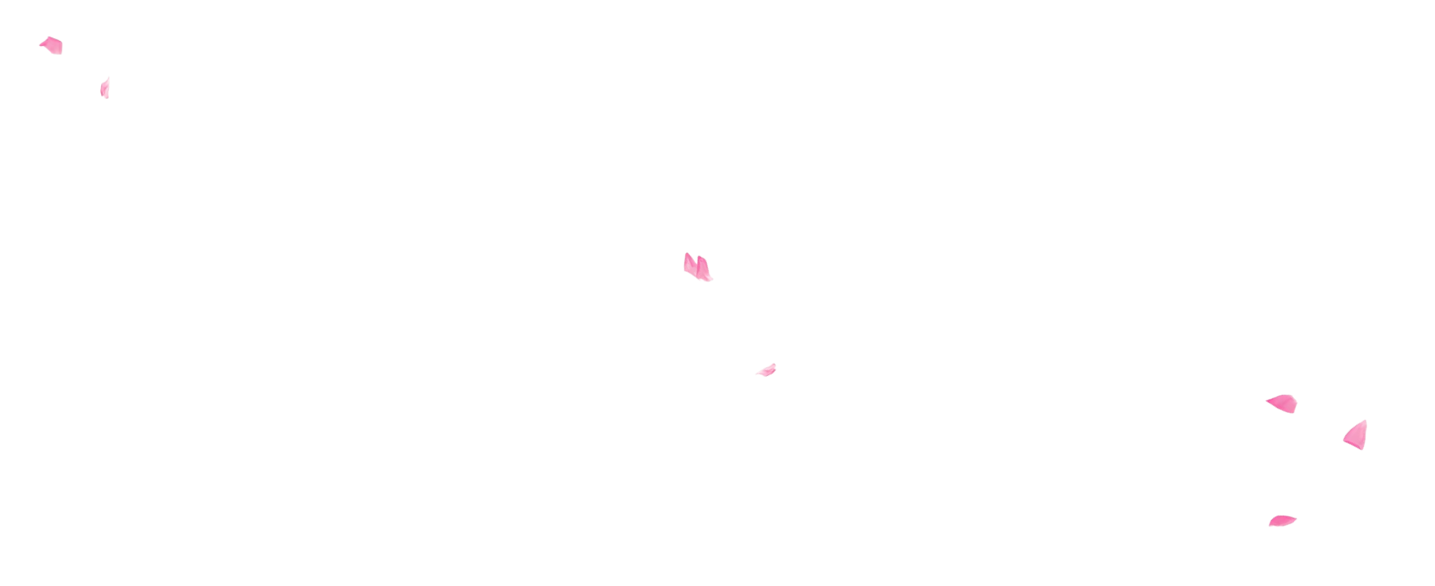 back-result.png